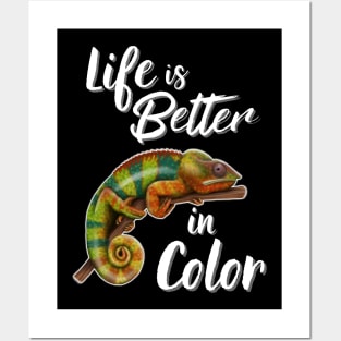 Chameleon Life Is Better In Color Posters and Art